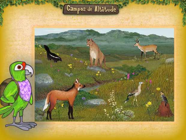 Atlantic Forest: The Biome Where I Live