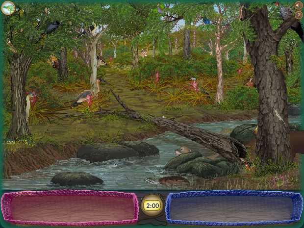 Atlantic Forest: The Biome Where I Live